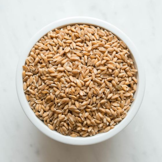 Pšenice špalda lúpaná 5 kg BIO   COUNTRY LIFE