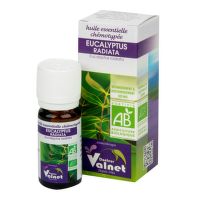 Éterický olej eukalyptus radiata 10 ml BIO   DOCTEUR VALNET